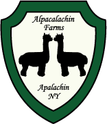 Full Service Alpaca Farm, Boarding, Shearing, Web Design